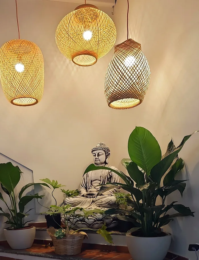Detalhes do estúdio, com plantas, luminárias e uma estátua de Buda.